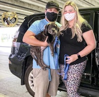 a man and woman holding a dog in a parking lot