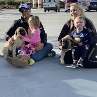 a family sits on the ground with two dogs