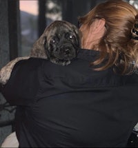 a woman is holding a black dog in her arms